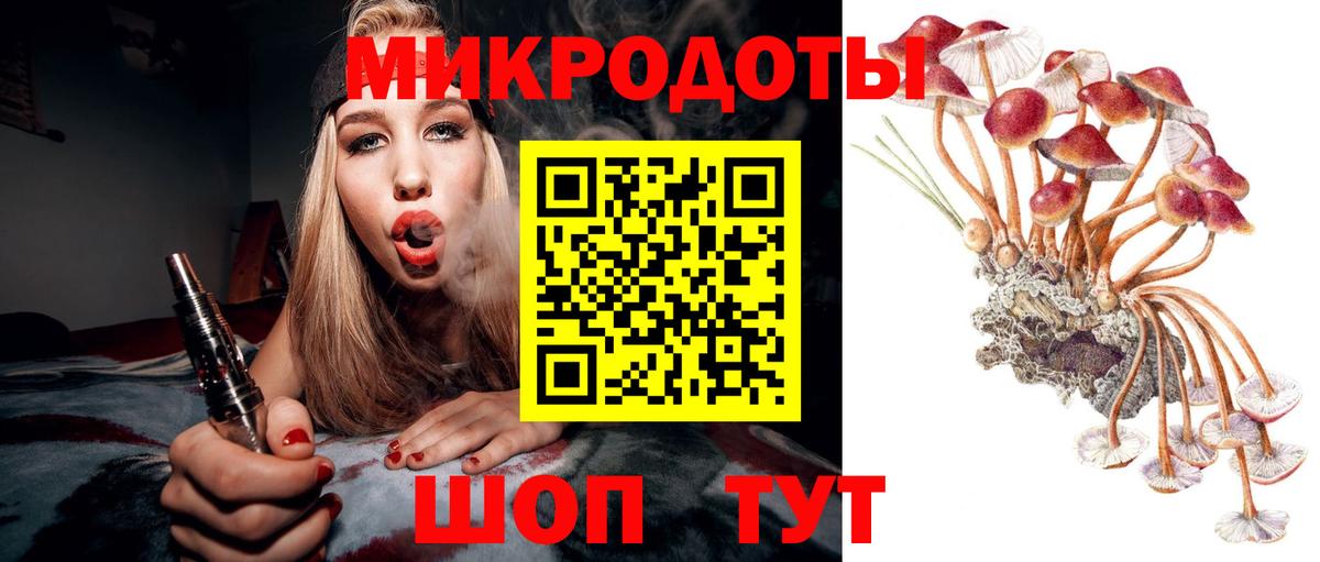Псилоцибиновые грибы MAGIC MUSHROOMS Псков