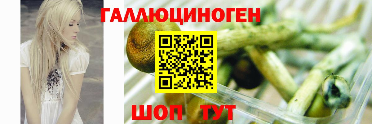 дарнет шоп  Псилоцибиновые грибы MAGIC MUSHROOMS  Галлюциногенные грибы Psilocybine cubensis  Вход с VPN  Псков 